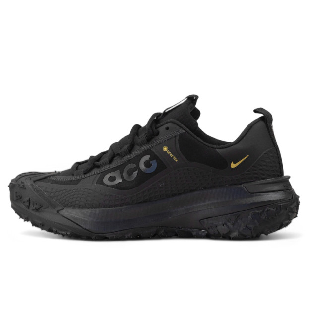 Купити Кросівки Nike Acg Mountain Fly Gore-Tex оригінал в інтернет