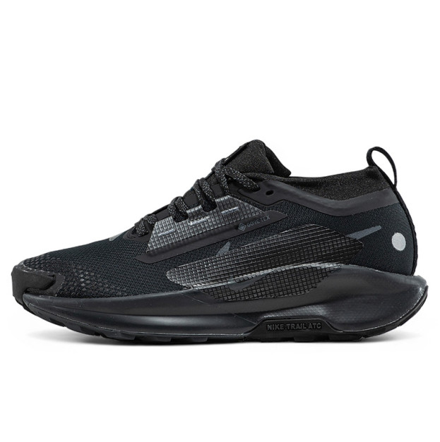 Купить Nike Pegasus Trail 5 Gore-Tex Smokey Blue FQ0908-005 за