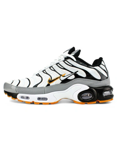 Air max plus tn double swoosh online