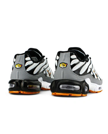 Buy Nike Air Max Plus TN Double Swoosh Mean Grey White for