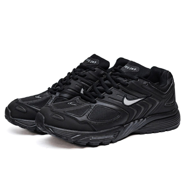 Nike Air Pegasus 2k5 Black Termo