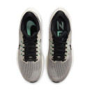 Кросівки Nike Air Zoom Pegasus 39 Phantom Sail DH4071-004 Жінкам
