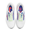 Кросівки Nike Air Zoom Pegasus 39 White Racer Blue Crimson DX3354-100 Жінкам