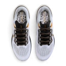 Кросівки Nike Air Zoom Pegasus 41 Light Smoke Grey Metallic Gold HQ3220-100 Жінкам