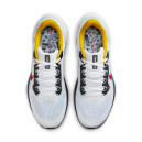 Кросівки Nike Air Zoom Pegasus 41 White Psychic Blue Red HJ9068-100 Чоловікам