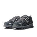 Nike P-6000 Gore-Tex Grey White Termo