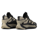 Кросівки Nike ACG Mountain Fly Low Gore-Tex Beige Black Жінкам