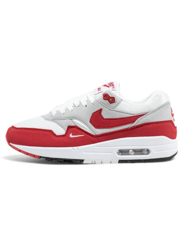 Кросівки Nike Air Max 1 Low Poly HQ5882-100