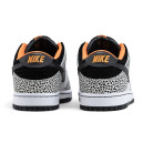 Кросівки Nike SB Dunk Low Pro Electric Pack FZ1233-002 Жінкам