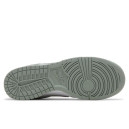Шкіра Кросівки Nike Dunk Low Light Pumice FQ8249-101