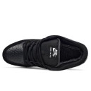 Leather Sneakers Nike SB Dunk Low Black White Gum WITH FUR