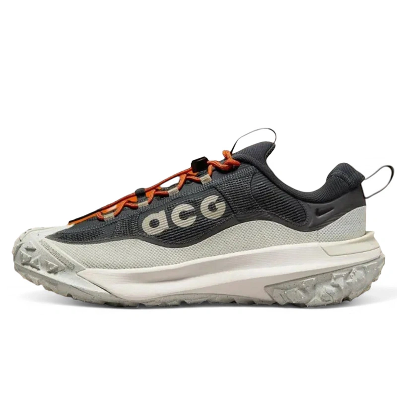 Купить Nike ACG Mountain Fly 2 Low Gore-Tex Dark Smoke Grey HF6245