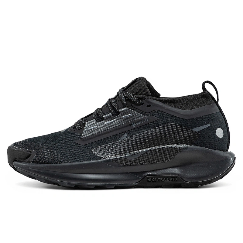Придбати Nike Pegasus Trail 5 Gore-Tex Black Anthracite FQ0908-002