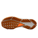 Нейлон Кросівки React Pegasus Trail 4 Gore-Tex Anthracite Ale Brown FD5841-001