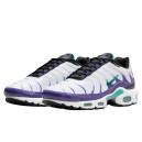Nike Air Max Plus Grape DM0032-100