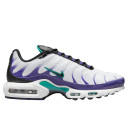 Nike Air Max Plus Grape DM0032-100 S-2351917