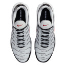 Кроссовки Nike Air Max Plus White Grey Black DM0032-002 Женщинам