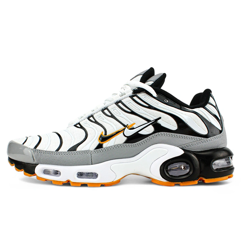 Nike Air Max Plus TN Double Swoosh Mean Grey White buy with delivery Nike