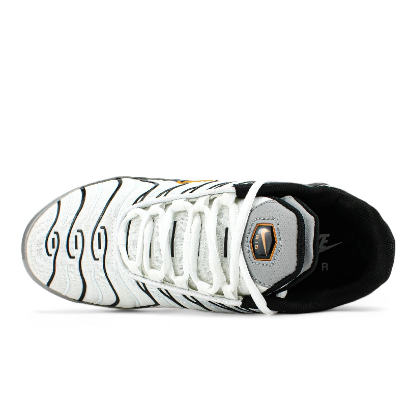 Nike Air Max Plus TN Double Swoosh Mean Grey White S 2353995 buy with delivery Nike