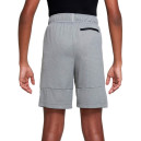 Шорты Nike NK POLY+ SHORT DO7093-091