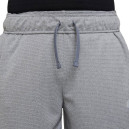 Шорты Nike NK POLY+ SHORT DO7093-091 S-2353882