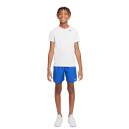 Шорты Nike NK CHALLENGER SHORT DM8550-480 Детям