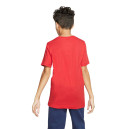 Футболка Nike NSW TEE FUTURA ICON TD AR5252-659