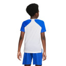 Футболка тренировочная Nike NK DF PERF TOP COLLECTN HBR DM8541-100