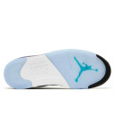 Шкіра Кросівки Jordan 5 Retro Grape HQ7978-100