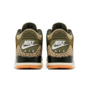 Кросівки Jordan 3 Retro Family Affair DN3707-202 Жінкам