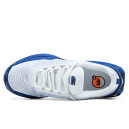 Текстиль Кросівки Nike Air Max DN Platinum Royal DV3337-102