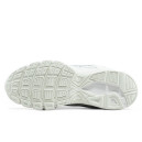 Шкіра Кросівки Nike Initiator Gore-Tex White Photon Dust FZ9020-100