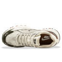 Кроссовки Nike FIYI v2 Beige Brown Мужчинам