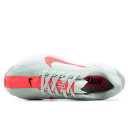 Синтетика Кросівки Nike Pegasus Plus Barely Grey Hot Punch FQ7262-001