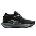 Nike Pegasus Trail 5 Gore-Tex Black Wolf Grey FQ0912-001 S-2359159
