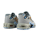 Кросівки Nike Air Max Plus Drift Light Smoke Grey FD4290-002 Жінкам