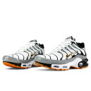 Nike Air Max Plus TN Double Swoosh Mean Grey White