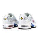 Sneakers Nike Air Max Plus Euro Tour Particle Grey CW7575-001