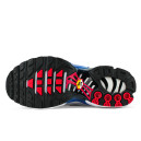 Nike Air Max Plus Euro Tour Particle Grey CW7575-001