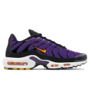 Nike Air Max Plus Voltage Purple DX0755-500 S-2354387