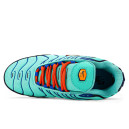 Кросівки Nike Air Max Plus Discover Your Air AV7940-300 Жінкам