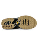 Кросівки Nike Air Max Plus Wheatgrass DZ4501-700 Чоловікам