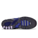 Шкіра Кросівки Nike Air Max Plus Drift Concord FD4290-007