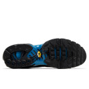 Шкіра Кросівки Nike Air Max Plus Neptune Blue FQ0204-010