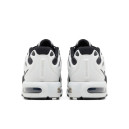 Кросівки Nike Air Max Plus Drift White Silver Black FD4290-101 Жінкам