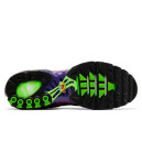 Шкіра Кросівки Nike Air Max Plus Rebellious Air 604133-610