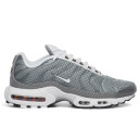 Nike Air Max Plus Flat Pewter White DV7665-002 S-2355044