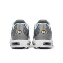 Кросівки Nike Air Max Plus Flat Pewter White DV7665-002 Чоловікам