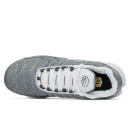 Шкіра Кросівки Nike Air Max Plus Flat Pewter White DV7665-002
