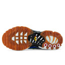 Шкіра Кросівки Nike Air Max Plus Frank Rudy Ghost Green DZ0480-300